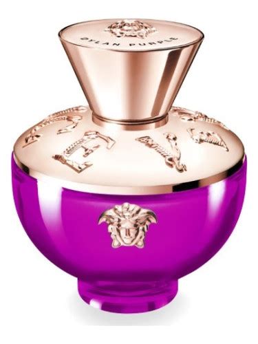 versace dupe perfume|dylan purple versace dupe.